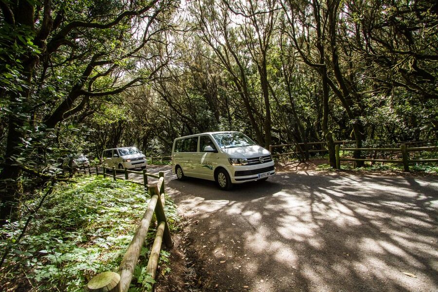 From South Tenerife: VIP Gomera Tour - San Sebastián and the start of the island route
