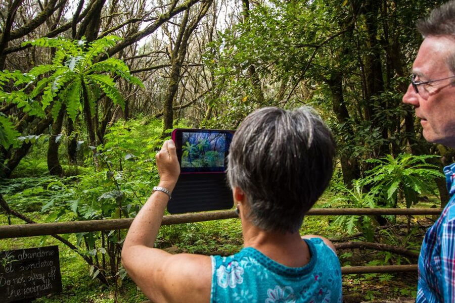 From South Tenerife: VIP Gomera Tour - Villages, local life, and the whistling language