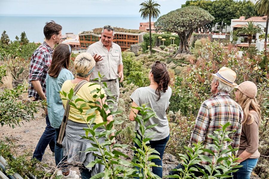From South Tenerife: VIP Grand Tour Tenerife island - Why this route works for a first day on Tenerife