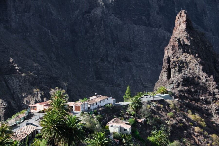 From South Tenerife: VIP Grand Tour Tenerife island - Meeting in Costa Adeje at 8:20 AM
