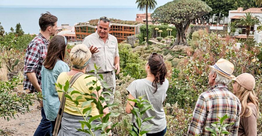 From South Tenerife: VIP Grand Tour Tenerife island - Masca and the island’s western mountain roads