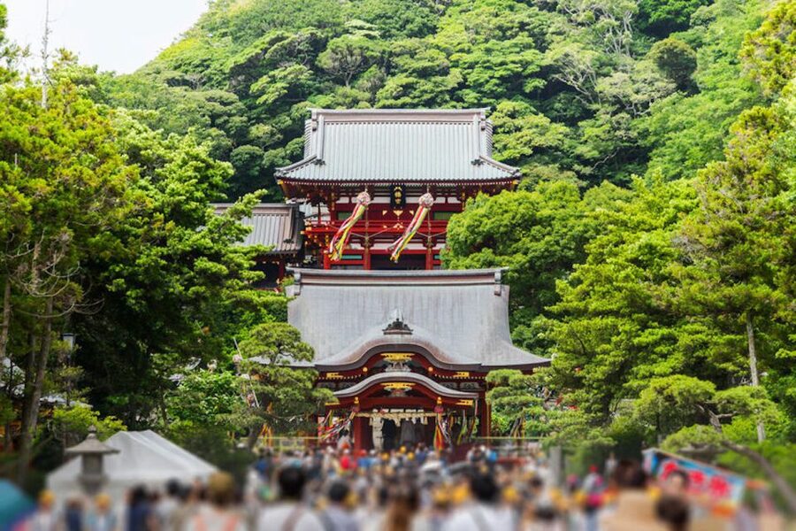 From Tokyo: Kamakura Private Customize Tour by Luxury Van - What the driver service does well
