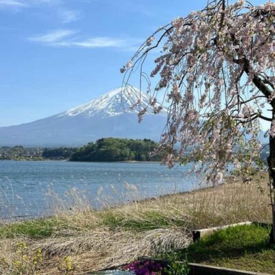 Mt Fuji Private Day Tour In Luxury Land Cruiser