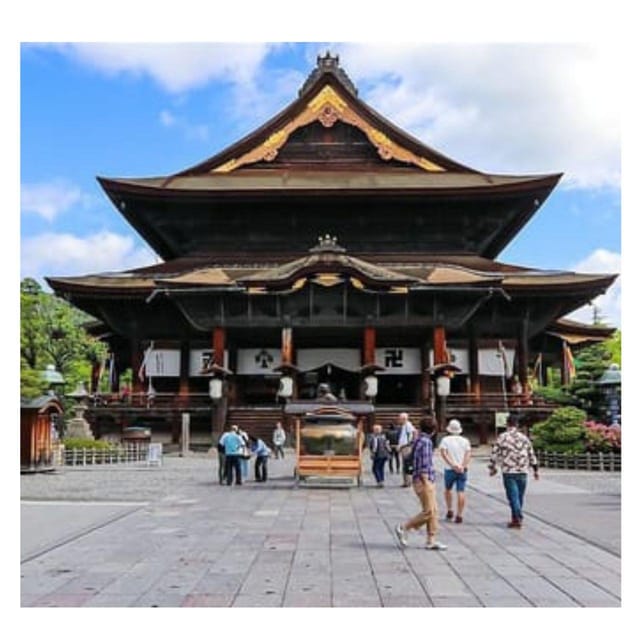 From Tokyo/Nagano: Luxury Snow Monkey Private Full-Day Tour - The driver makes or breaks the day