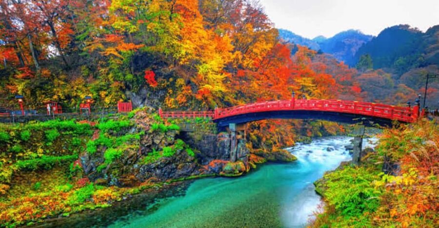 From Tokyo: Nikko luxury Tour with English-speaking Guide - Why Nikko makes a strong day trip from Tokyo