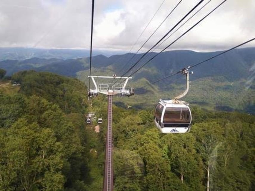 From Tokyo: Nikko luxury Tour with English-speaking Guide - Shinkyo Bridge provides a handsome first stop