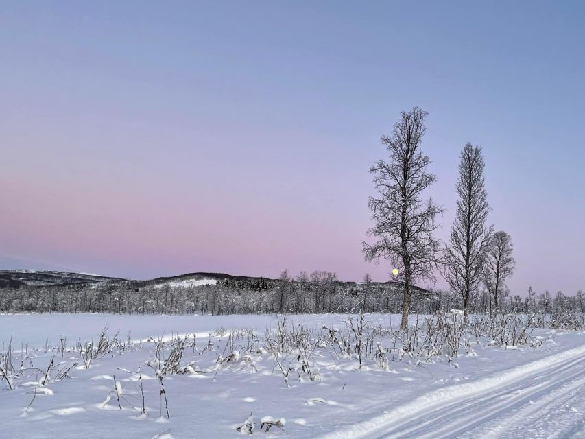 From Tromso: Eco Luxury Snowmobile Adventure to Lyngen Alps - From Tromsø’s harbor to the Lyngen Alps