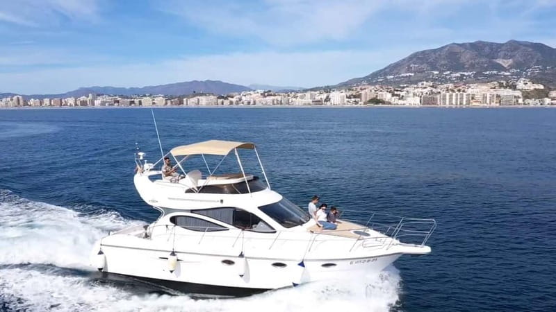 Fuengirola : 2 hours LUXURY Yacht Dolphin Trip DRINKS SNACKS - Watching dolphins in their natural setting