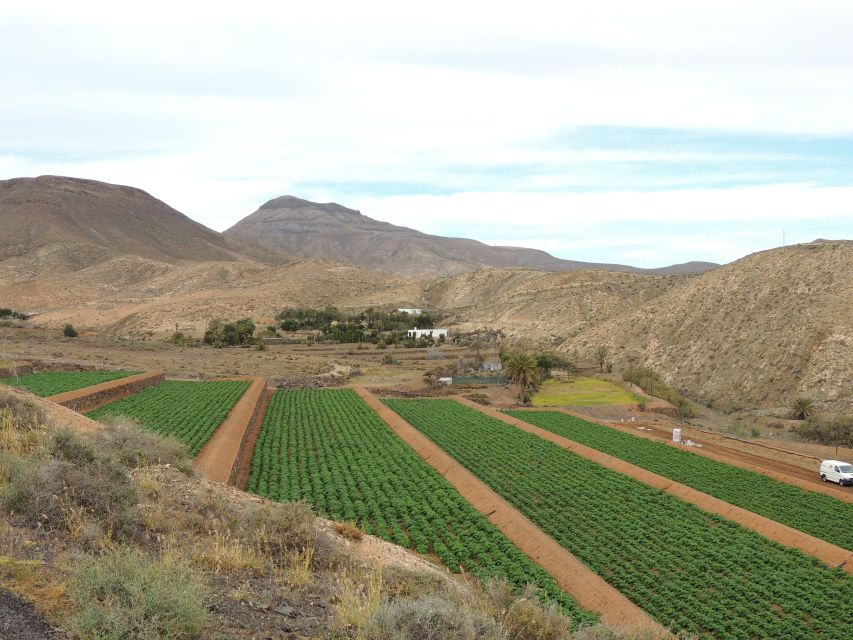 Fuerteventura: Island Highlights Guided VIP Sightseeing Tour - Why this seven-hour tour works
