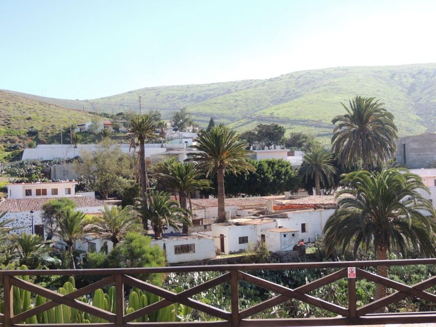 Fuerteventura: Island Highlights Guided VIP Sightseeing Tour - Is $82 good value?