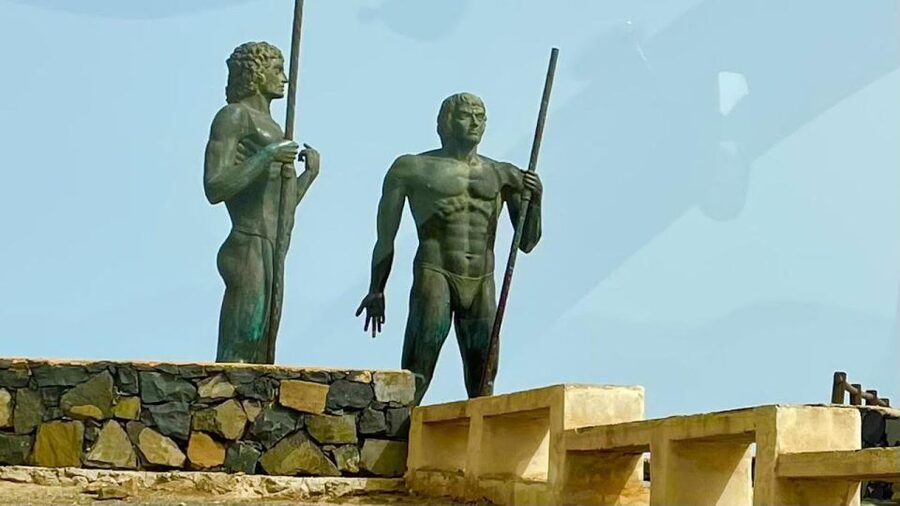 Fuerteventura: Island Highlights Guided VIP Sightseeing Tour - The minibus makes island touring easier