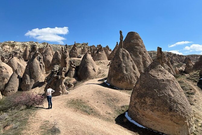 Full Day Private Cappadocia Tour (Luxury Van + Private Guide ) - Devrent Valley, Love Valley, and Rose Valley
