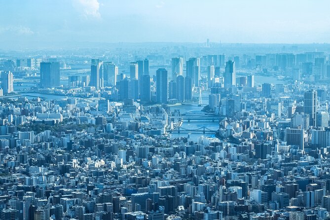 Full Day Tokyo Private Tour by Luxury Vehicle - The Imperial Palace stop is short but useful