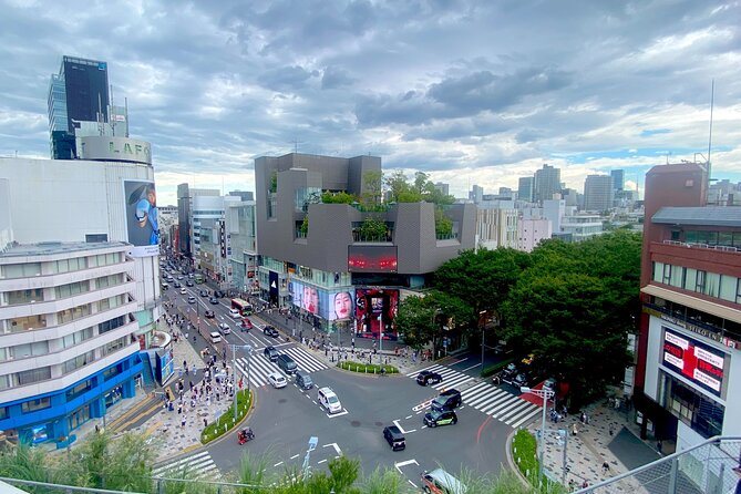 Full Day Tokyo Private Tour by Luxury Vehicle - Shibuya Crossing is the fitting final snapshot