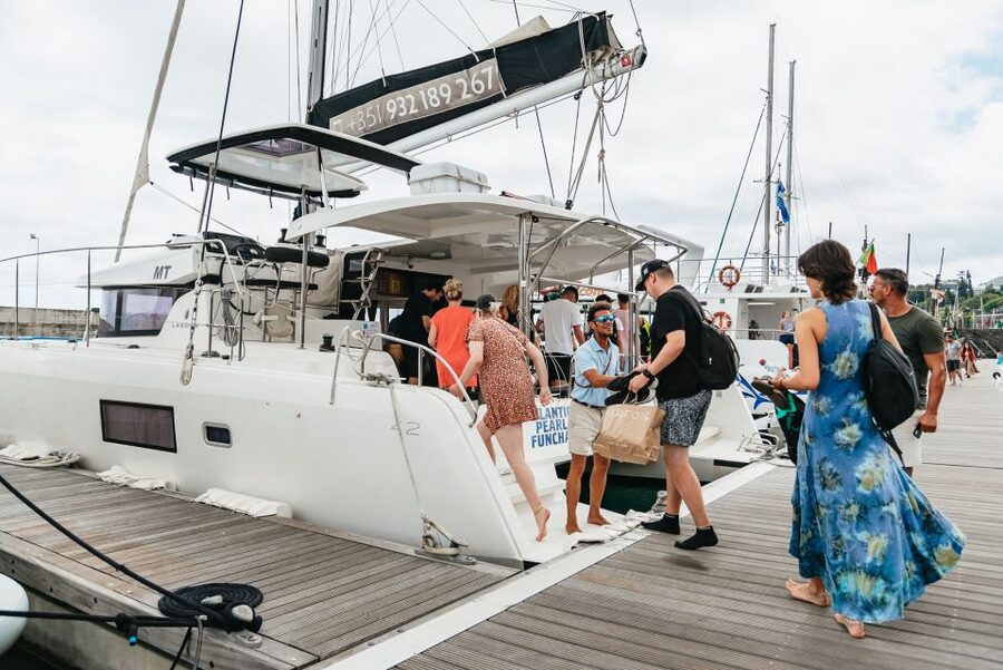 Funchal Bay: Dolphin & Whale Watch Luxury Catamaran Cruise - The wildlife search, with patience required