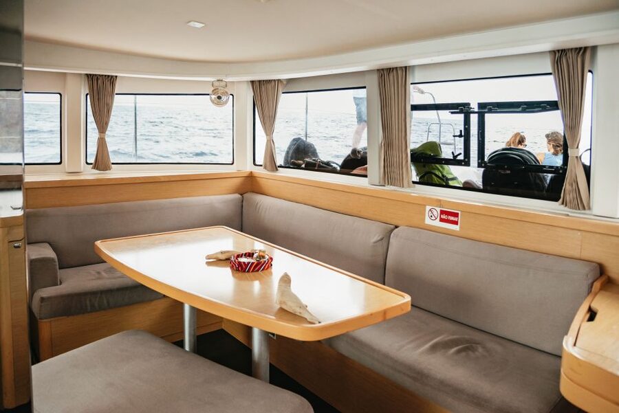 Funchal Bay: Dolphin & Whale Watch Luxury Catamaran Cruise - Is $47 a fair price?