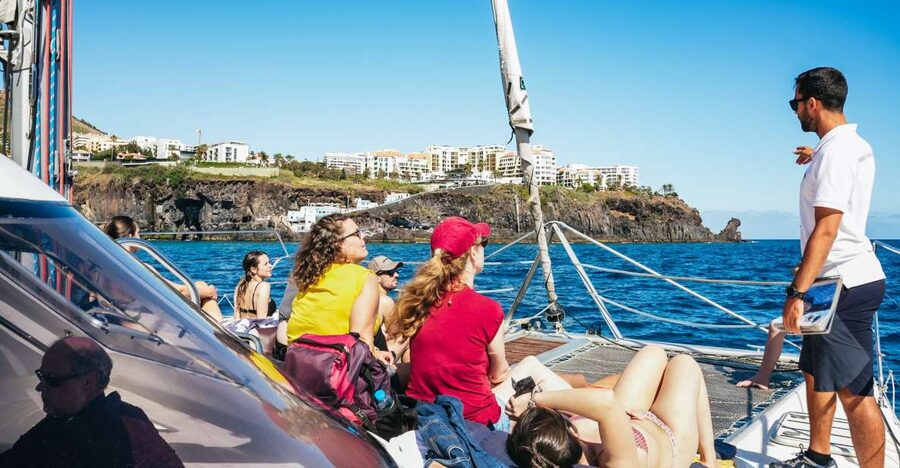 Funchal: Dolphin and Whale Watching by Luxury Catamaran - Key Points at a Glance