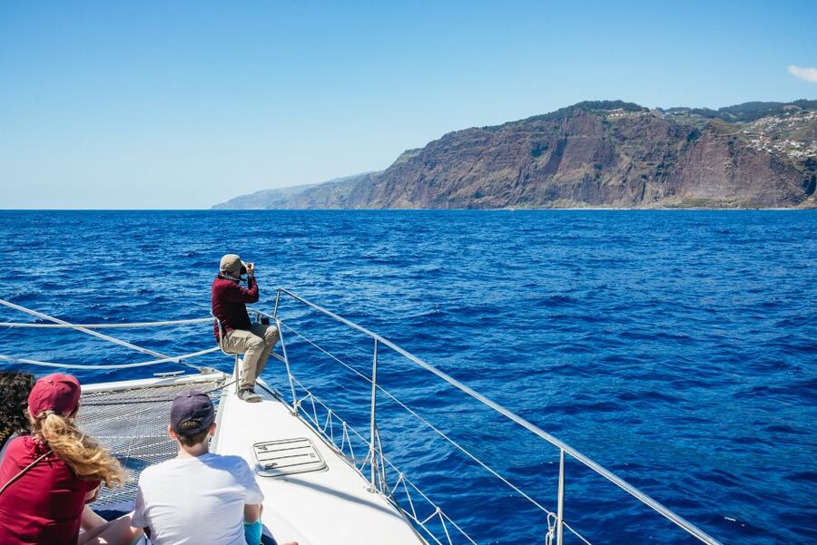 Funchal: Dolphin and Whale Watching by Luxury Catamaran - Should You Book the Cabo Girão Catamaran Tour?