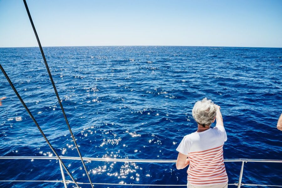 Funchal: Dolphin and Whale Watching by Luxury Catamaran - The Wildlife Search and Crew Commentary