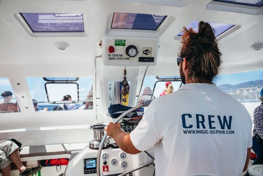 Funchal: Dolphin and Whale Watching by Luxury Catamaran - Who Will Enjoy This Trip Most?