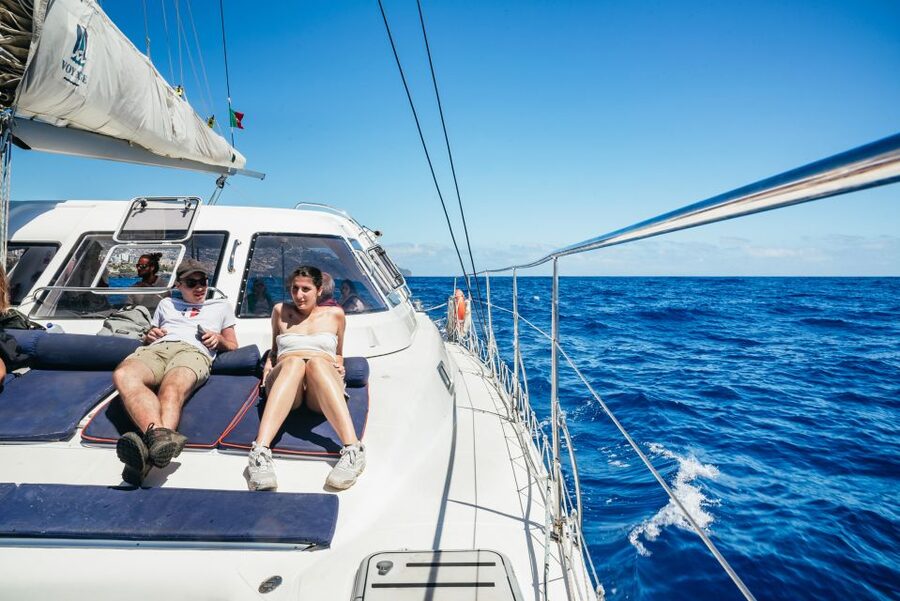 Funchal: Dolphin and Whale Watching by Luxury Catamaran - Practical Advice Before You Go