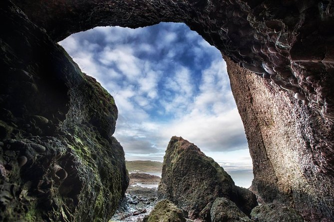Giant's Causeway Tour from Belfast - Luxury Bus + Castles Tour - The Dark Hedges bring a film-location pause