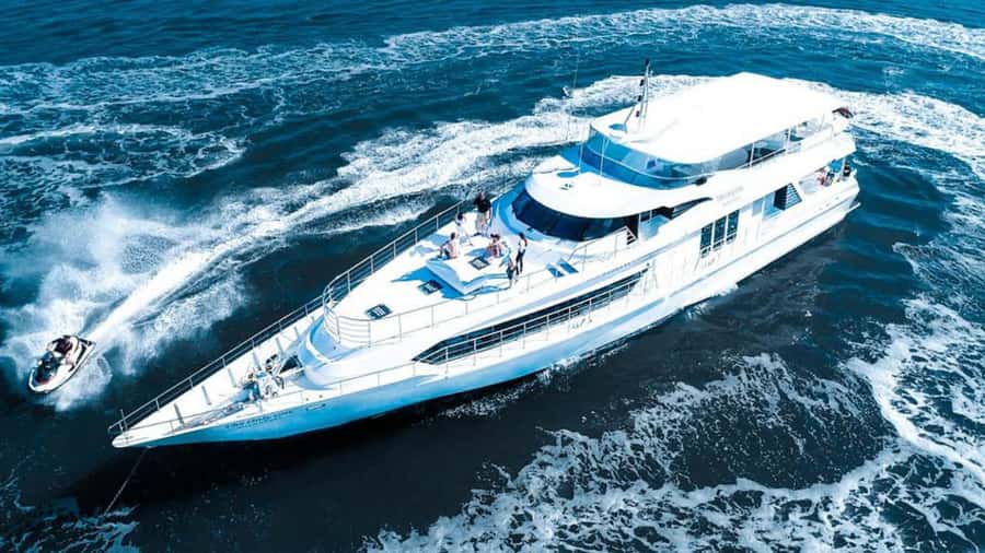 Gold Coast: Luxury Whale Watching Tour - What Sun Goddess adds to the outing