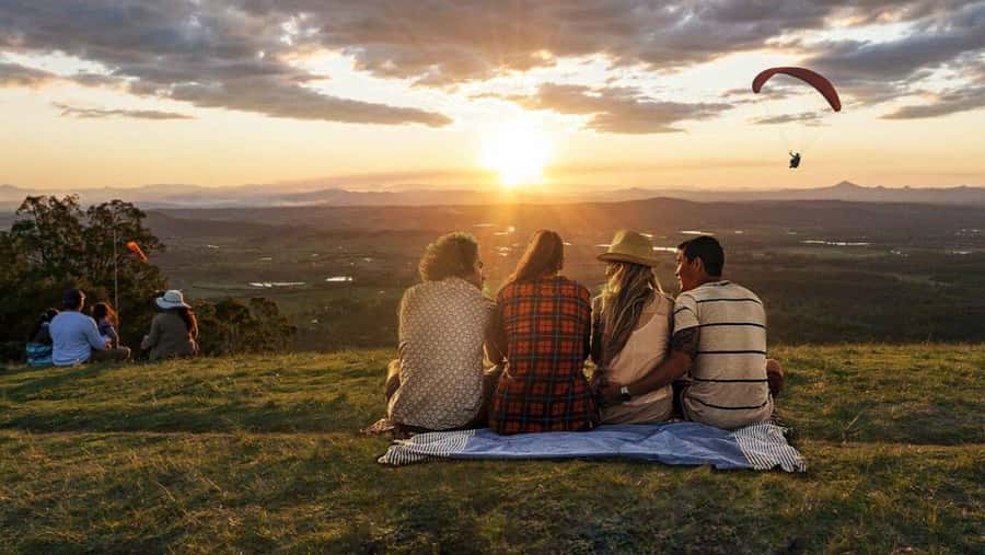 Gold Coast: Premium Wine Tour with Gourmet Lunch - Key points to know before booking