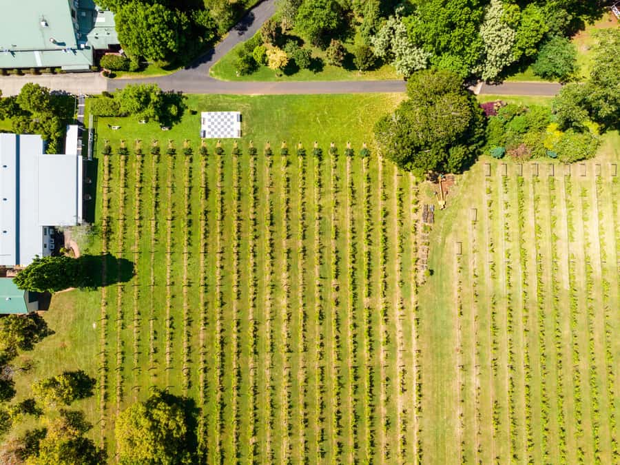 Gold Coast: Premium Wine Tour with Gourmet Lunch - The road from the Gold Coast to Mount Tamborine