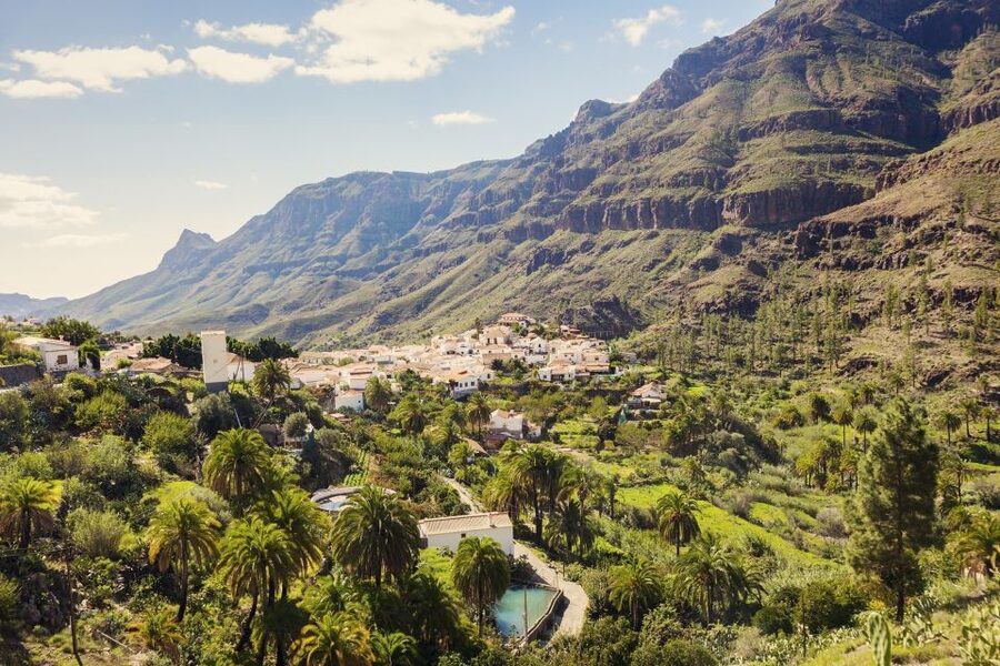 Gran Canaria: Full-Day VIP Tour by Bus - Who should book this island tour?