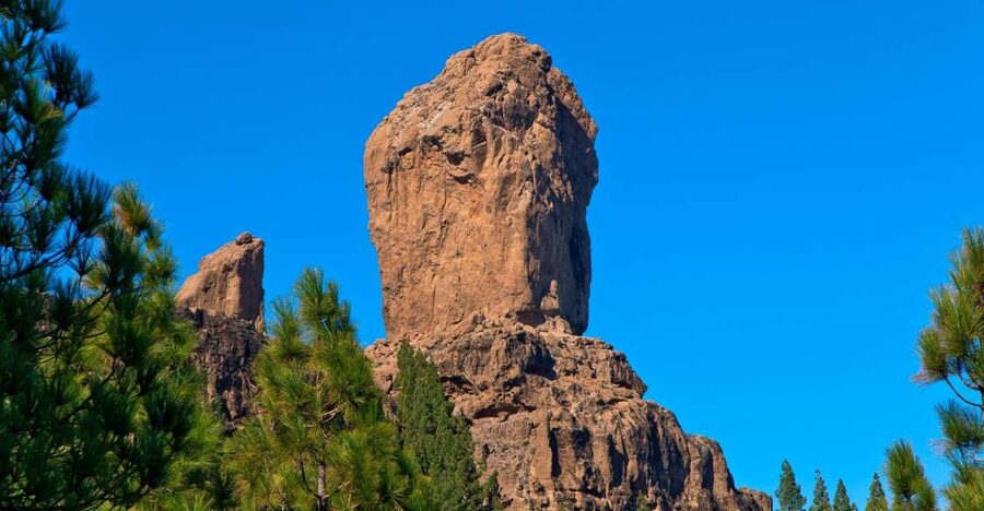 Gran Canaria: Full-Day VIP Tour by Bus - Pine forests, almond trees, and Roque Nublo views