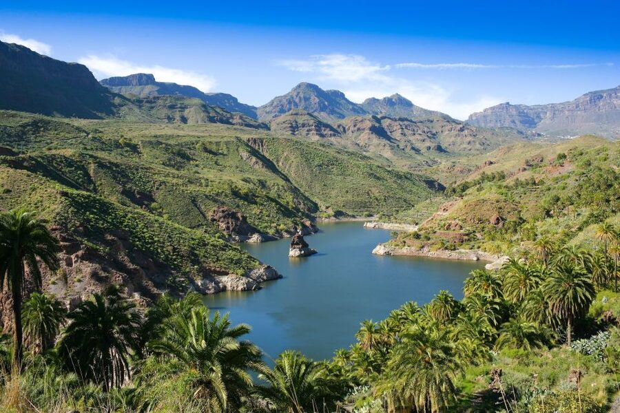 Gran Canaria: Full-Day VIP Tour by Bus - Guayadeque: caves and an older island way of life