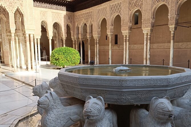 Granada : Alhambra Prestige Group Tour (VIP tickets included) - Guide quality can make or break the visit