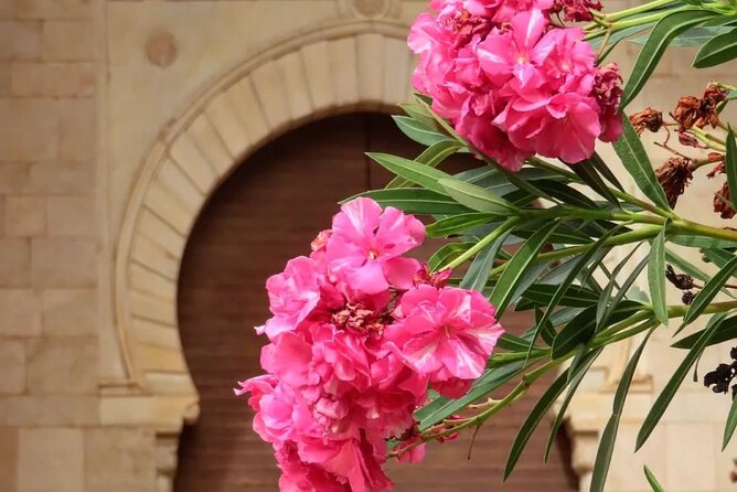 Granada : Alhambra Prestige Group Tour (VIP tickets included) - Practical details that matter