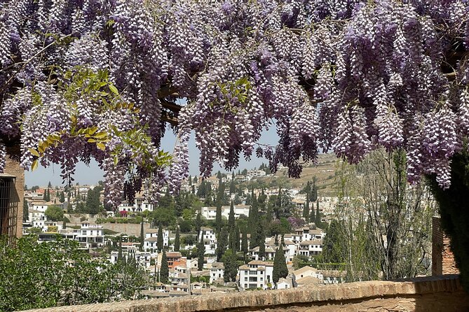 Granada : Private Alhambra Tour + Nazaries Palaces (VIP) - Is $114.65 a fair price?