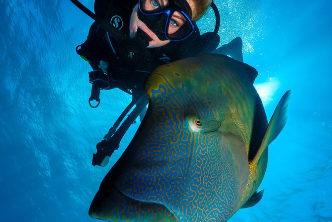 Great Barrier Reef Cruise - Gold Class VIP Lounge Package - Seeing the reef without getting in the water