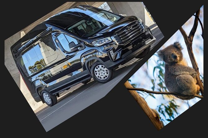 Great Ocean Road Tour Reverse –SML GRP-DLUX Mini Bus Hotel Pickup - Shipwreck Coast stops: Tom and Eva, the Razorback, and Loch Ard Gorge