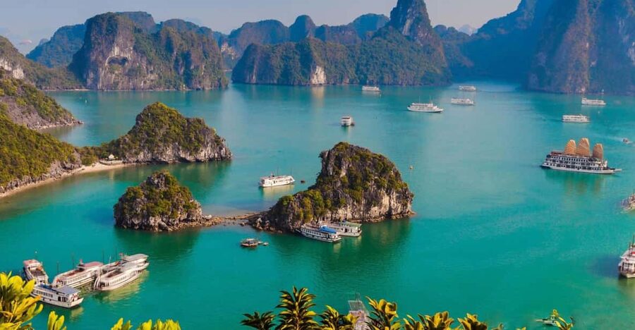 Ha Long 1 Day Luxury Small Group & Kayaking - Who Will Enjoy This Most?