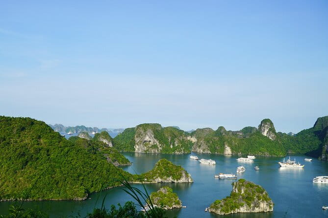 Ha Long Bay 1 Day Joined Luxury Tour - Kayaking through Hang Luon