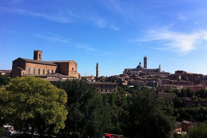 Half Day Chianti Wine Tour with Private Luxury Van - The main event at Casa Emma