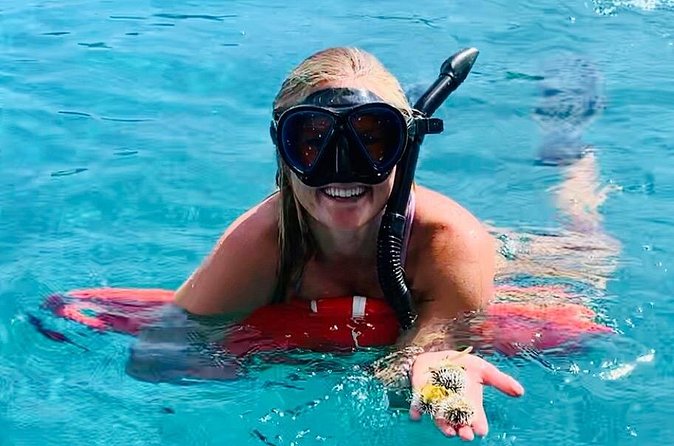 Half Day Luxury Catamaran Turtle Snorkel And Beach - How the crew shapes the experience