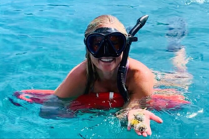 Half Day Luxury Catamaran Turtle Snorkel And Beach - Meeting the boat at Yacht Haven Grande