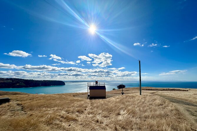 Half Day Luxury Private Guided Crater Rim Walk - Why Godley Head makes a smart half-day outing