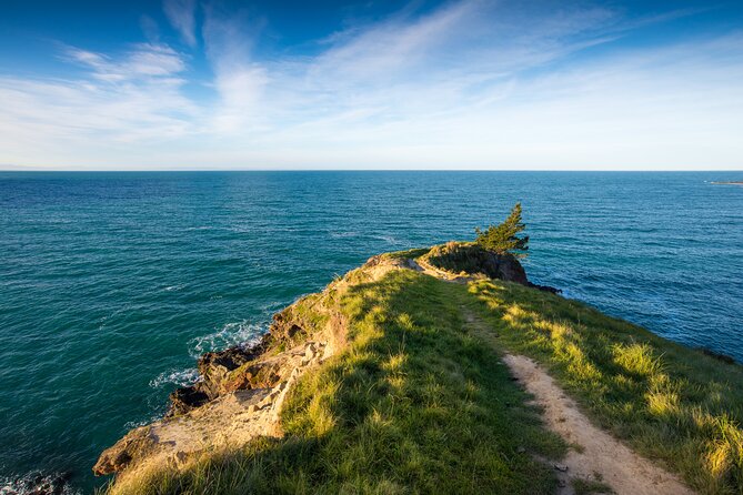 Half Day Luxury Private Guided Crater Rim Walk - Taylors Mistake to Godley Head on foot