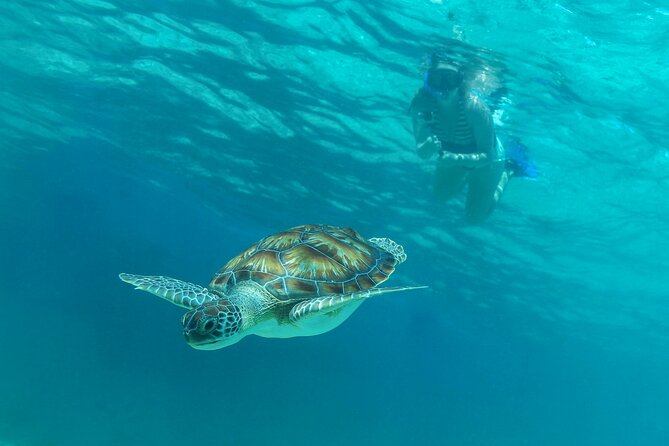 Half-Day Luxury Sailing Experience in Tulum with Open Bar - Who should book this Tulum sailing experience?