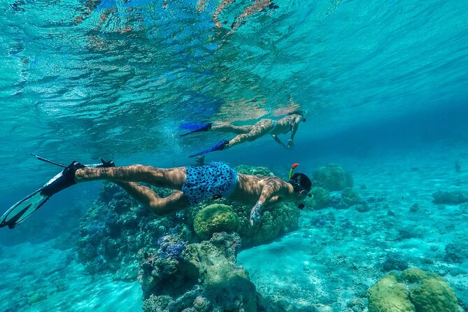 Half-Day Private Luxury Tour from Bora Bora - The 9:00 am Start and What It Means