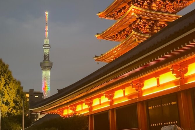 Haneda Airport Private Transfer – Luxury Car & Meet & Greet - Who should book this Haneda transfer?