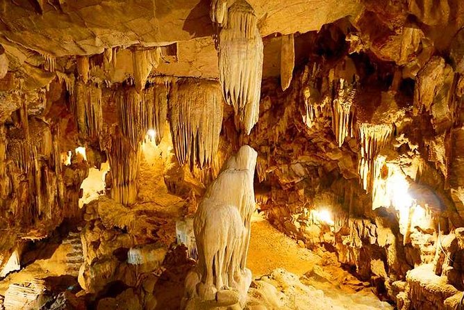 Hanoi - Hoa Lu - Tam Coc - Mua Cave - 1 Day / By Luxury Limousine & Small Group - Tam Coc by Sampan and Bicycle