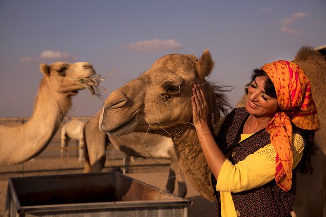 High Red Dunes with Camel Ride, Sandboarding, Falcon Show and VIP BBQ Dinner - The seven-hour desert plan