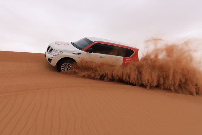High Red Dunes with Camel Ride, Sandboarding, Falcon Show and VIP BBQ Dinner - Lahbab’s red dunes and the 30 to 45-minute ride
